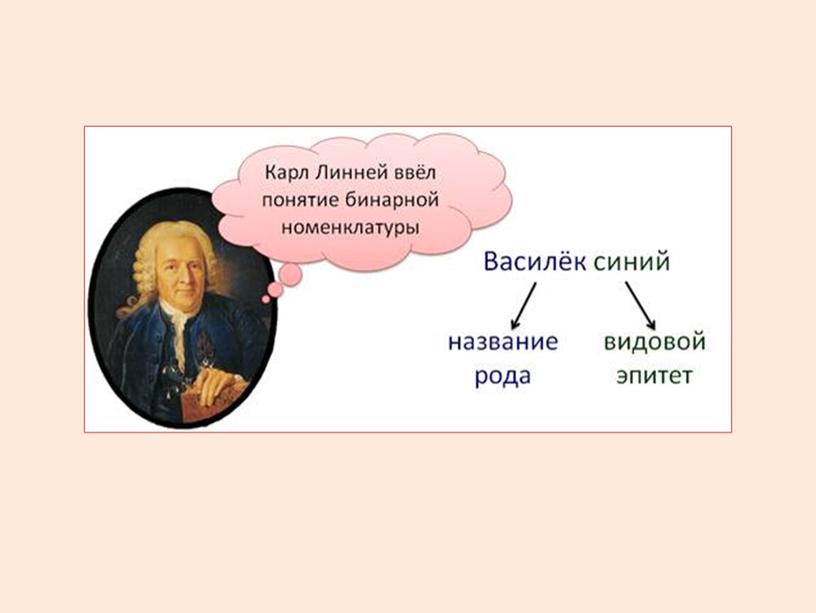 Презентация к уроку Вид. Критерии вида. 9 класс.