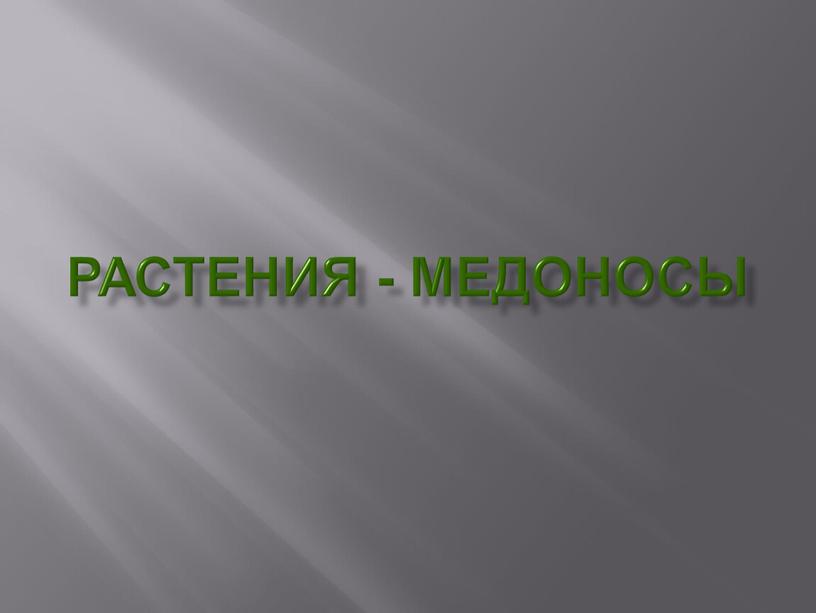 Растения - медоносы