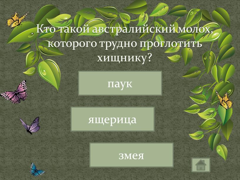 Кто такой австралийский молох, которого трудно проглотить хищнику? ящерица паук змея