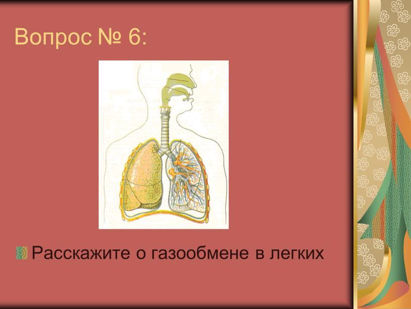 Вопрос № 6: Расскажите о газообмене в легких