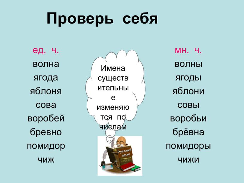 Проверь себя Русский язык Имена существительные изменяются по числам