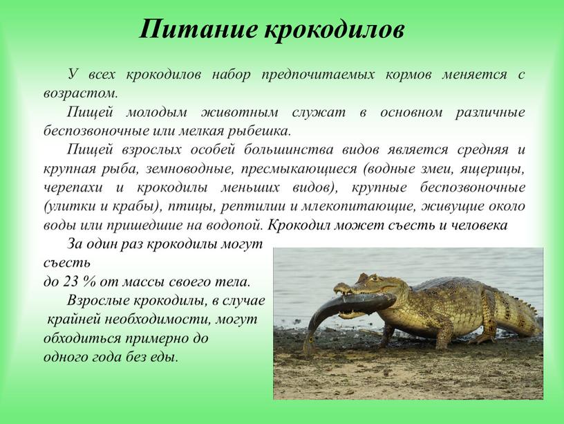 Питание крокодилов У всех крокодилов набор предпочитаемых кормов меняется с возрастом