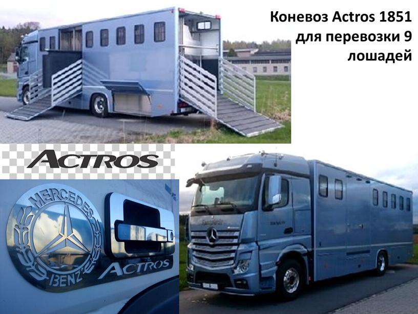 Коневоз Actros 1851 для перевозки 9 лошадей