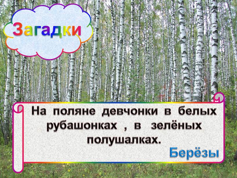 Загадки На поляне девчонки в белых рубашонках , в зелёных полушалках