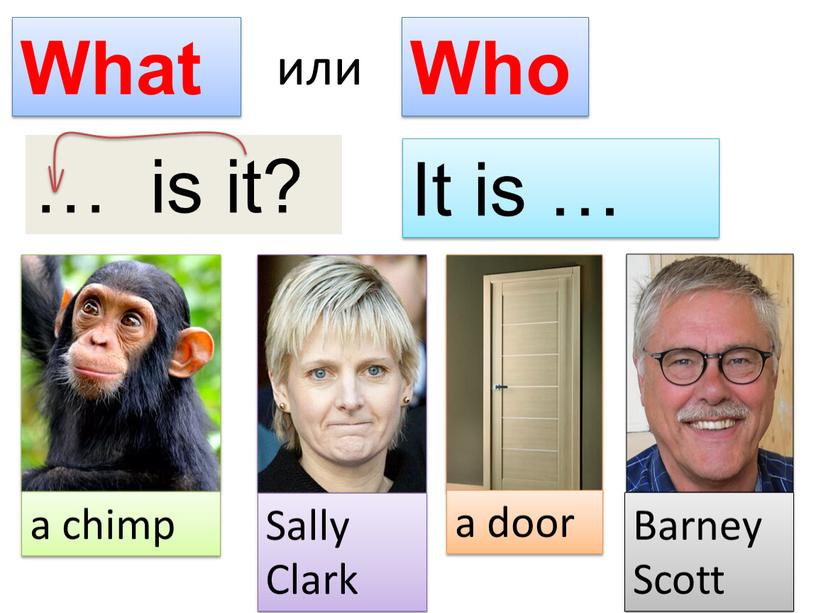 What Who или a chimp Sally Clark a door