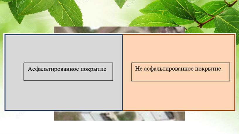 Исследовательский проект "Подари дереву жизнь", 7 класс-презентация