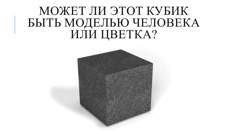 Может ли этот кубик быть моделью человека или цветка?