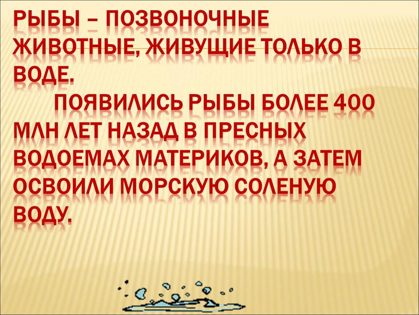 Рыбы – позвоночные животные, живущие только в воде