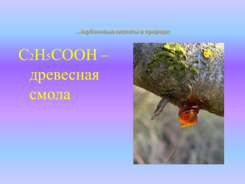 …карбоновые кислоты в природе: С2Н5СООН – древесная смола