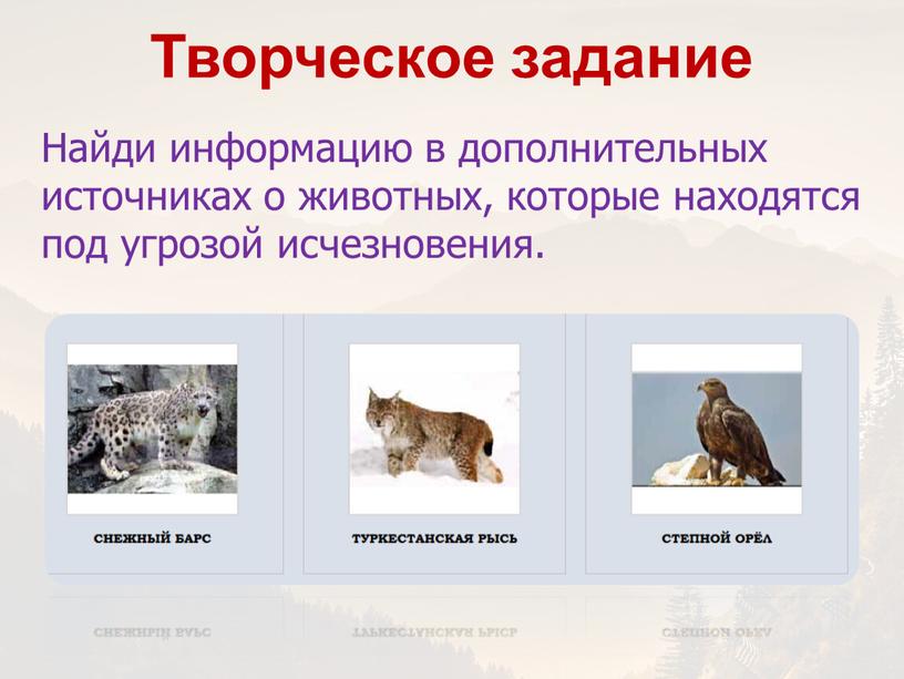 Творческое задание Найди информацию в дополнительных источниках о животных, которые находятся под угрозой исчезновения