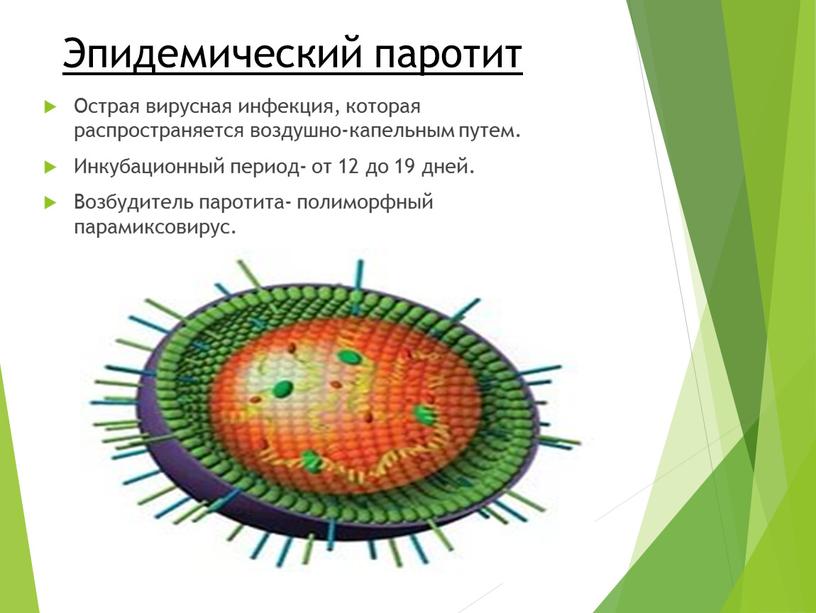 Эпидемический паротит Острая вирусная инфекция, которая распространяется воздушно-капельным путем