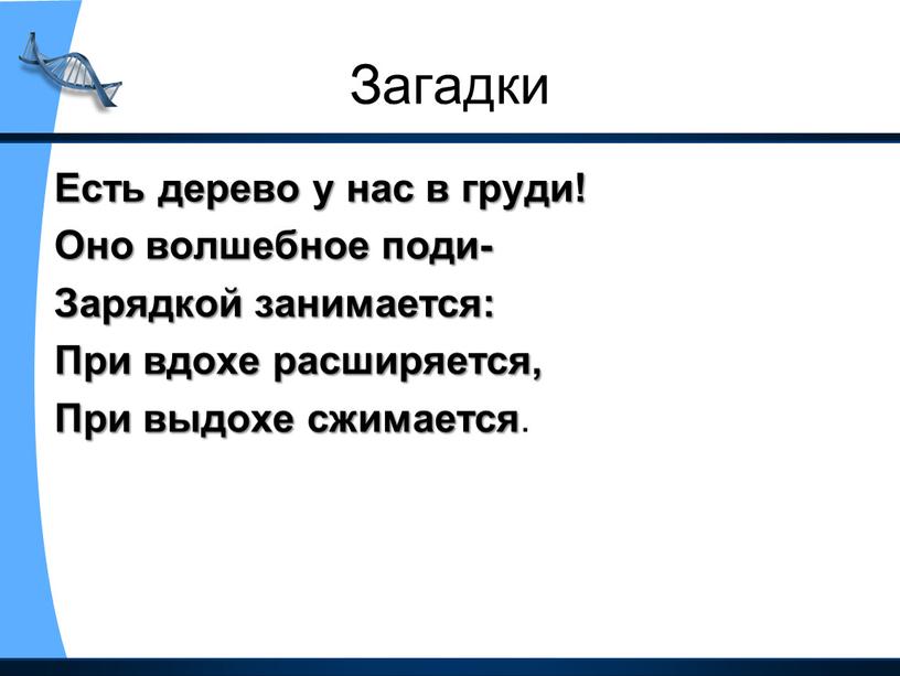 Загадки Есть дерево у нас в груди!