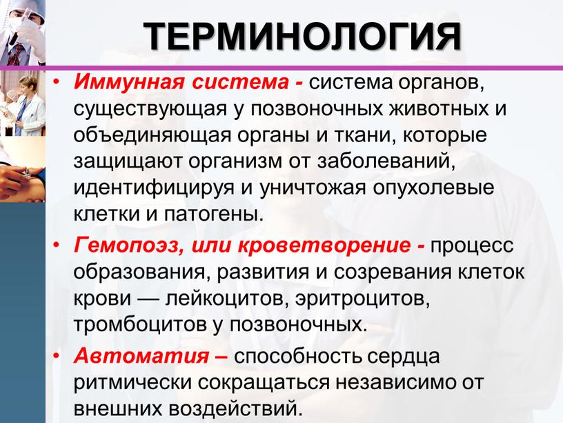 ТЕРМИНОЛОГИЯ Иммунная система - система органов, существующая у позвоночных животных и объединяющая органы и ткани, которые защищают организм от заболеваний, идентифицируя и уничтожая опухолевые клетки…