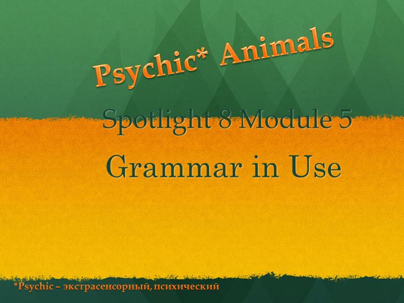 Spotlight 8 Module 5 Grammar in