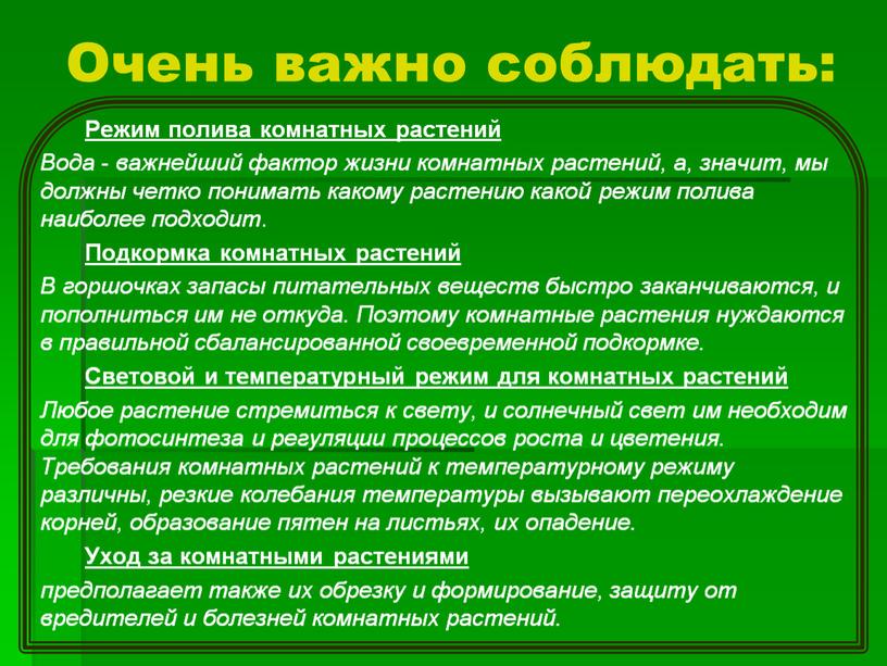 Очень важно соблюдать: Режим полива комнатных растений