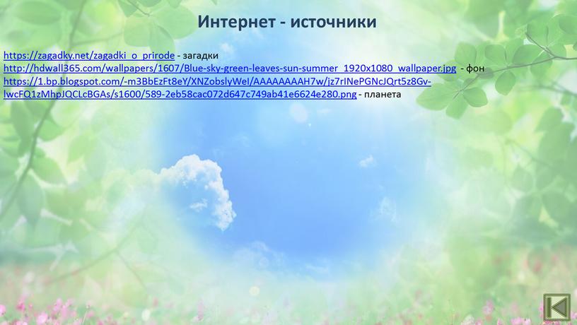 Blue-sky-green-leaves-sun-summer_1920x1080_wallpaper