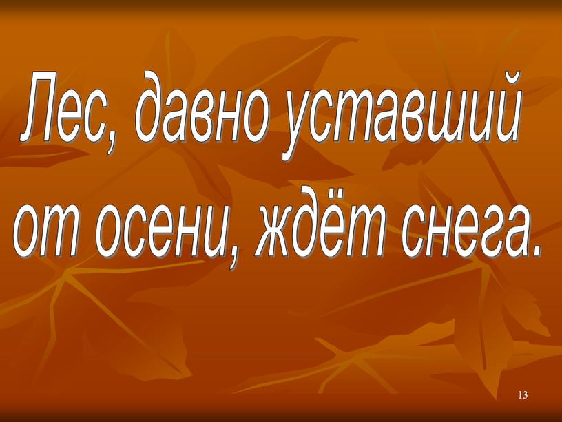 Лес, давно уставший от осени, ждёт снега