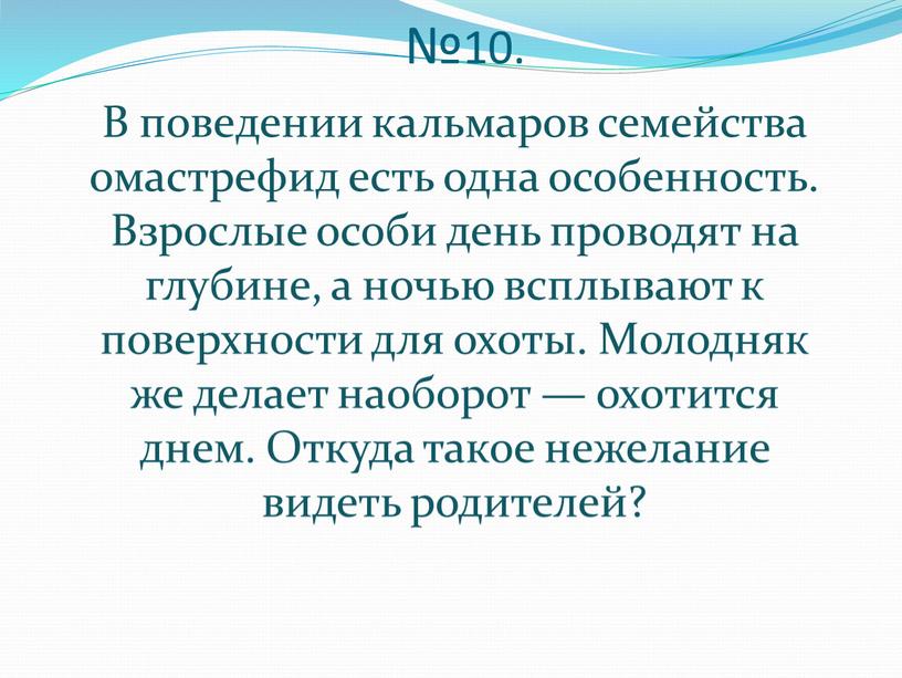 В поведении кальмаров семейства омастрефид есть одна особенность