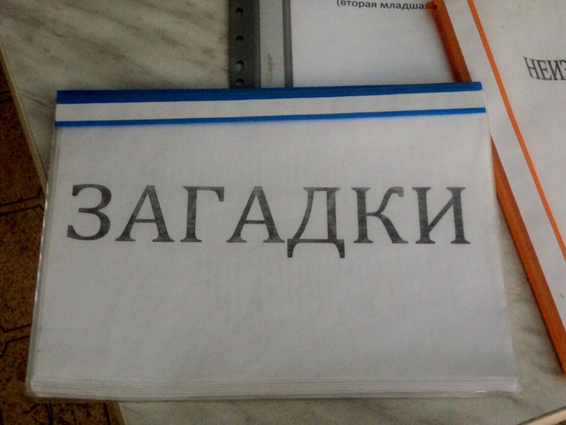 Результат. Рекомендации для родителей по экологическому воспитанию дошкольников