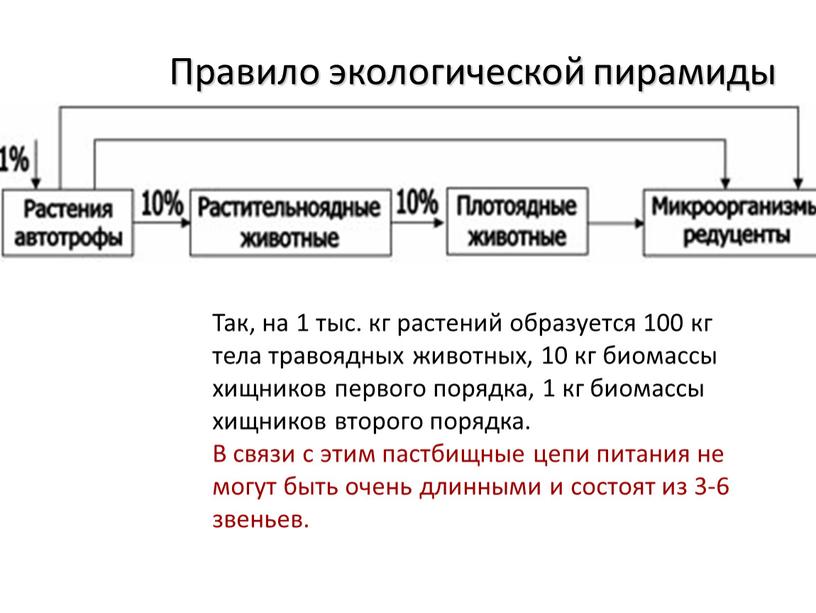 Так, на 1 тыс. кг растений образуется 100 кг тела травоядных животных, 10 кг биомассы хищников первого порядка, 1 кг биомассы хищников второго порядка