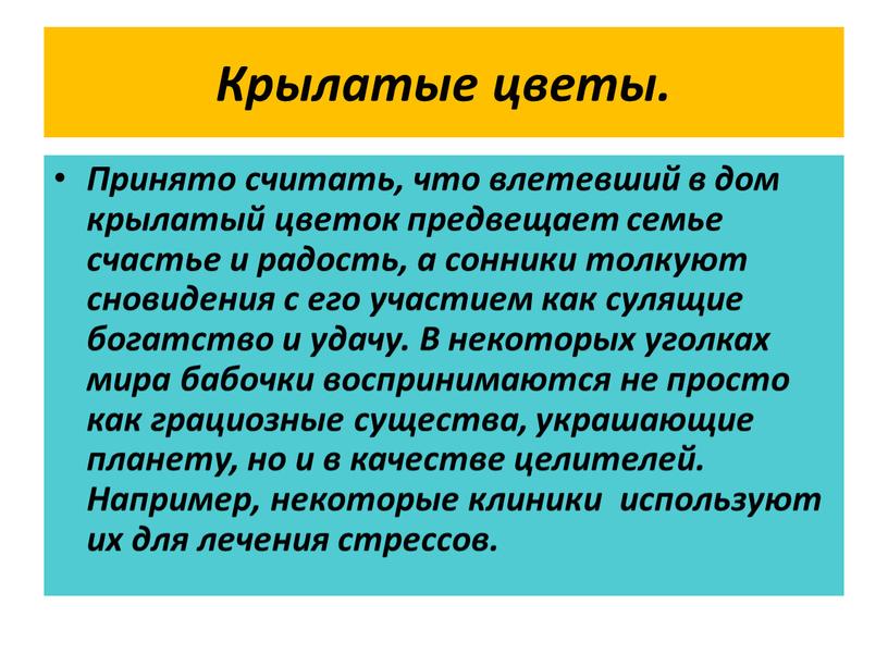 Крылатые цветы. Принято считать, что влетевший в дом крылатый цветок предвещает семье счастье и радость, а сонники толкуют сновидения с его участием как сулящие богатство…