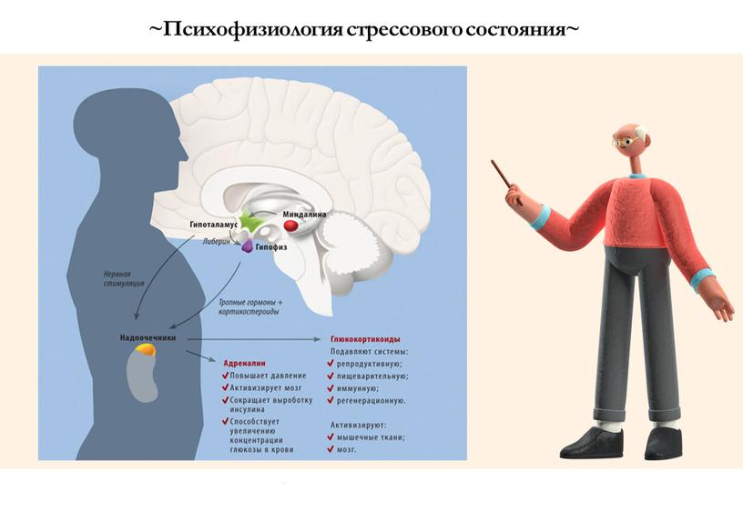 Психофизиология стрессового состояния~