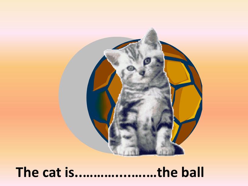 in front of The cat is..………....….…the ball