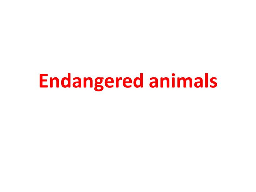 Endangered animals