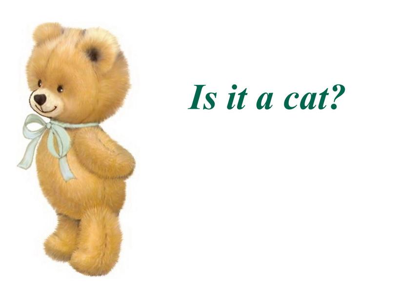 Is it a cat?