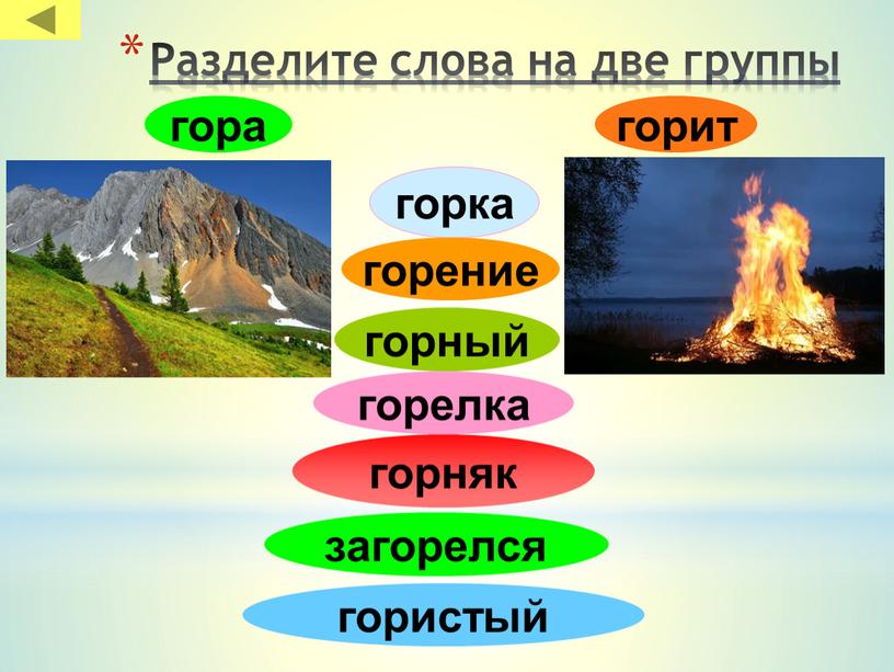 Разделите слова на две группы горняк горный горит гористый горка горелка горение гора загорелся