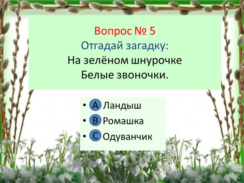 Вопрос № 5 Отгадай загадку: На зелёном шнурочке