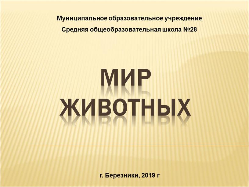 Мир животных г. Березники, 2019 г