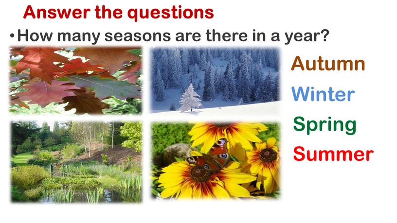 Answer the questions How many seasons are there in a year?