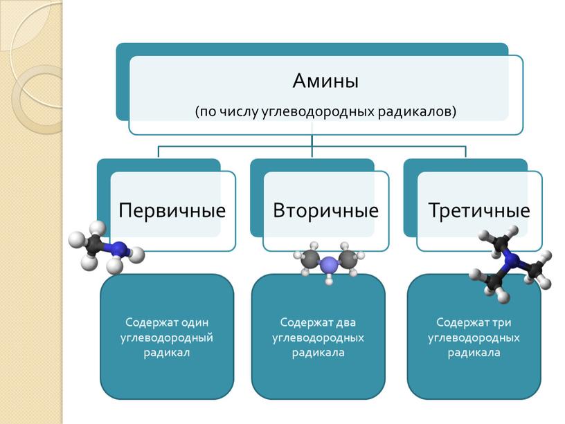 Содержат один углеводородный радикал