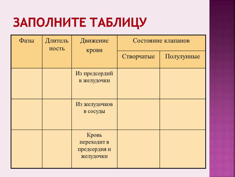 Заполните таблицу Фазы Длительность