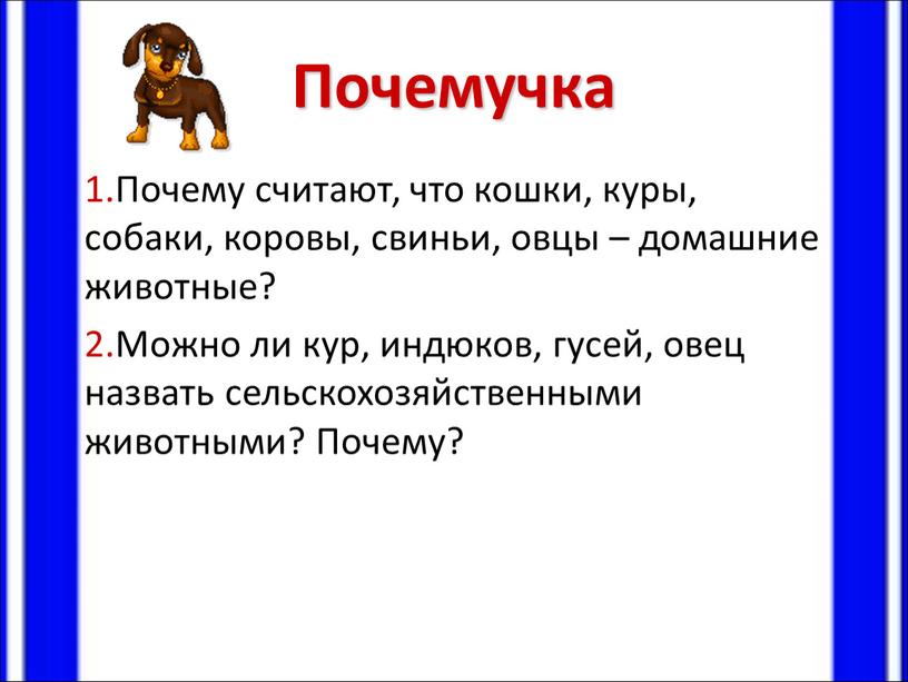 Почемучка Почему считают, что кошки, куры, собаки, коровы, свиньи, овцы – домашние животные?