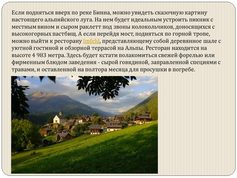 Если подняться вверх по реке Бинна, можно увидеть сказочную картину настоящего альпийского луга