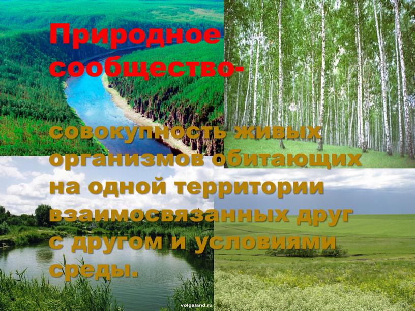 Природное сообщество- совокупность живых организмов обитающих на одной территории взаимосвязанных друг с другом и условиями среды