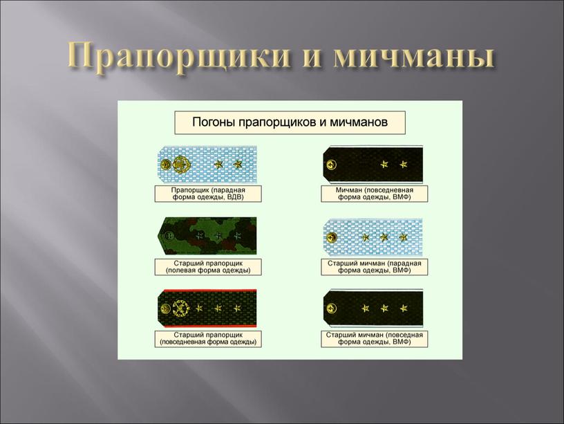 Прапорщики и мичманы