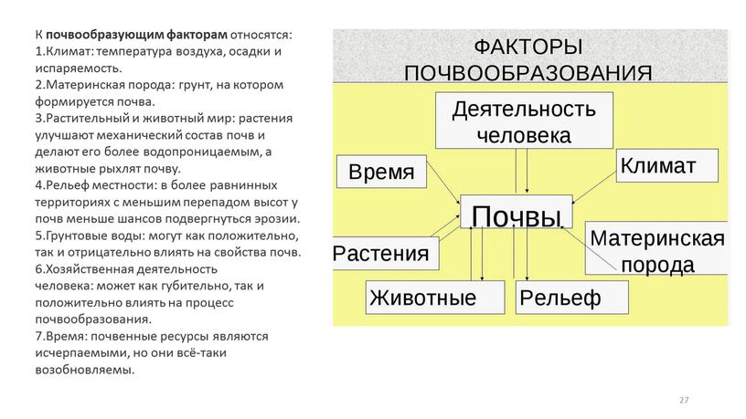 К почвообразующим факторам относятся: