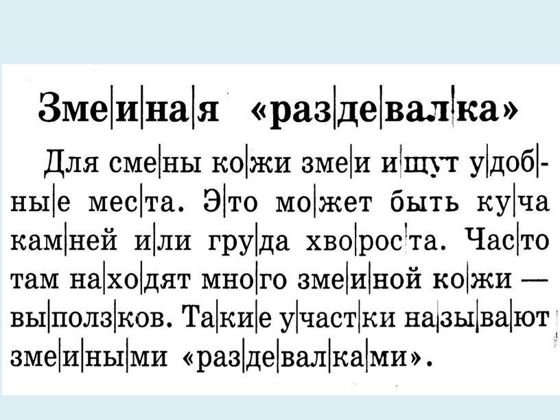 Презентация открытого урока по обучению грамоте _Буква З,з,  звуки [з], [з*]