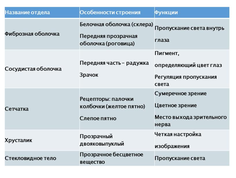 Особенности строения жизни. Название отдела. Название отдела особенности строения функции биология 8 класс. Название отдела зелёные оссобенностми органов низвиш представители.