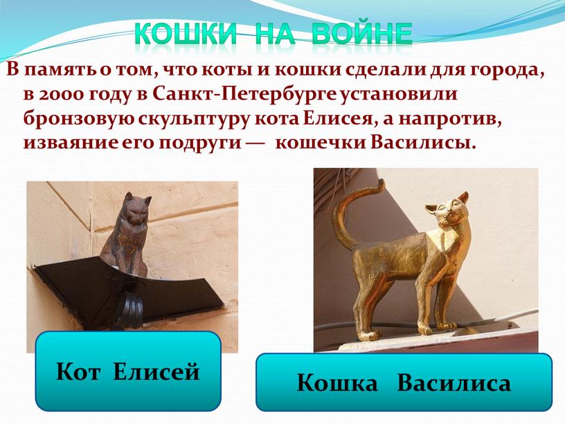 Кошки на войне Кот Елисей Кошка