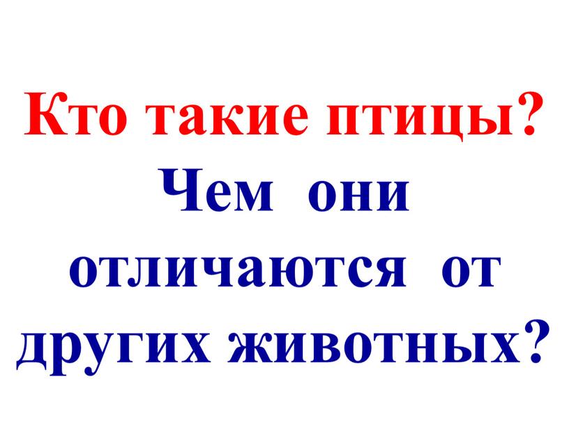 Кто такие птицы? Чем они отличаются от других животных?