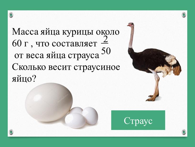 Масса яйца курицы около 60 г , что составляет от веса яйца страуса