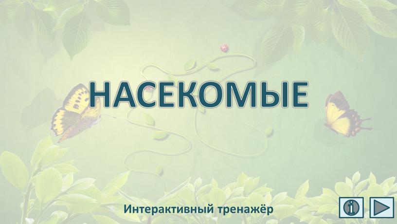 НАСЕКОМЫЕ Интерактивный тренажёр