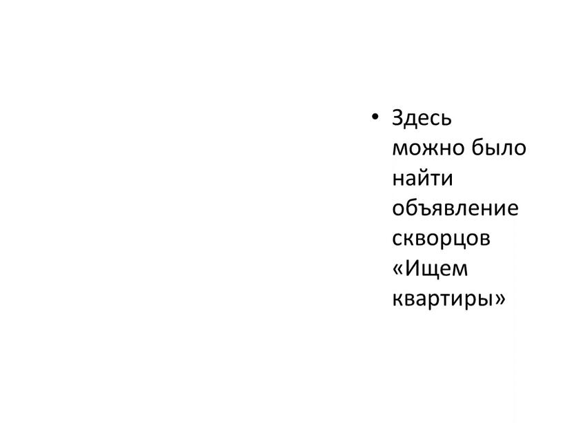 Здесь можно было найти объявление скворцов «Ищем квартиры»