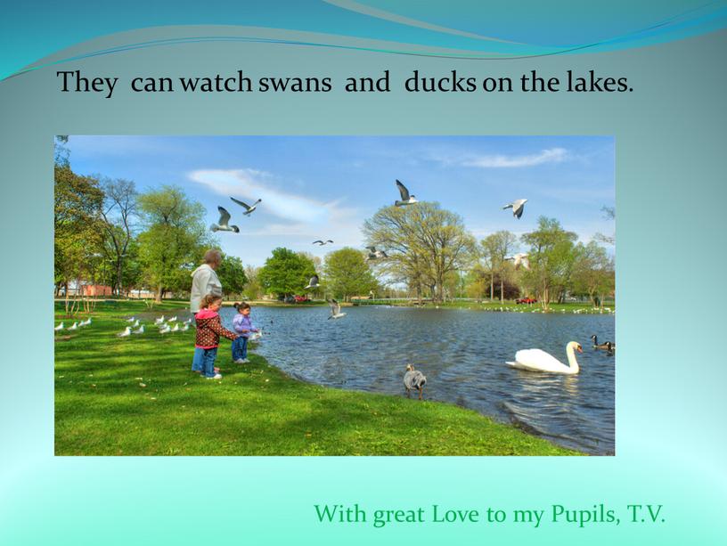 They can watch swans and ducks on the lakes