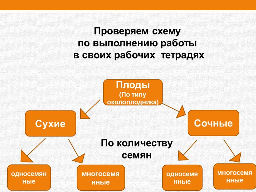 Сухие Сочные Плоды (По типу околоплодника) многосемянные односемянные