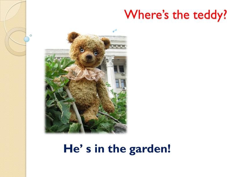 Where’s the teddy? He’ s in the garden!